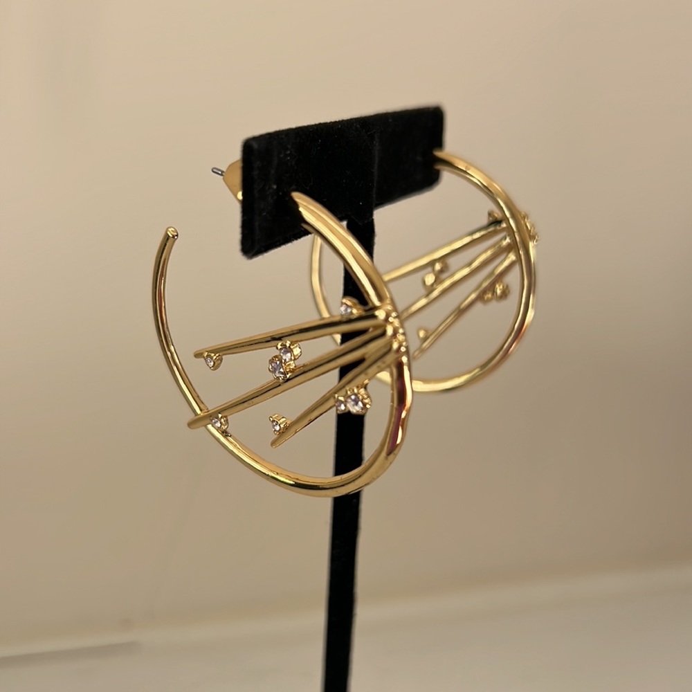 - Earrings